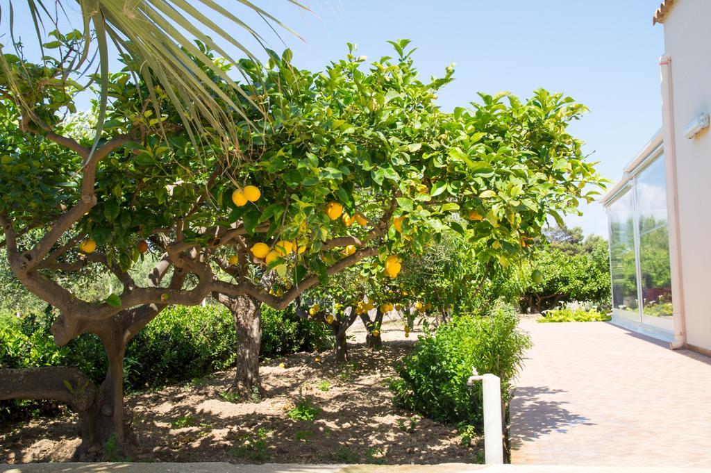 Casolare Nelle Saline Bed & Breakfast Torre Nubia Bagian luar foto