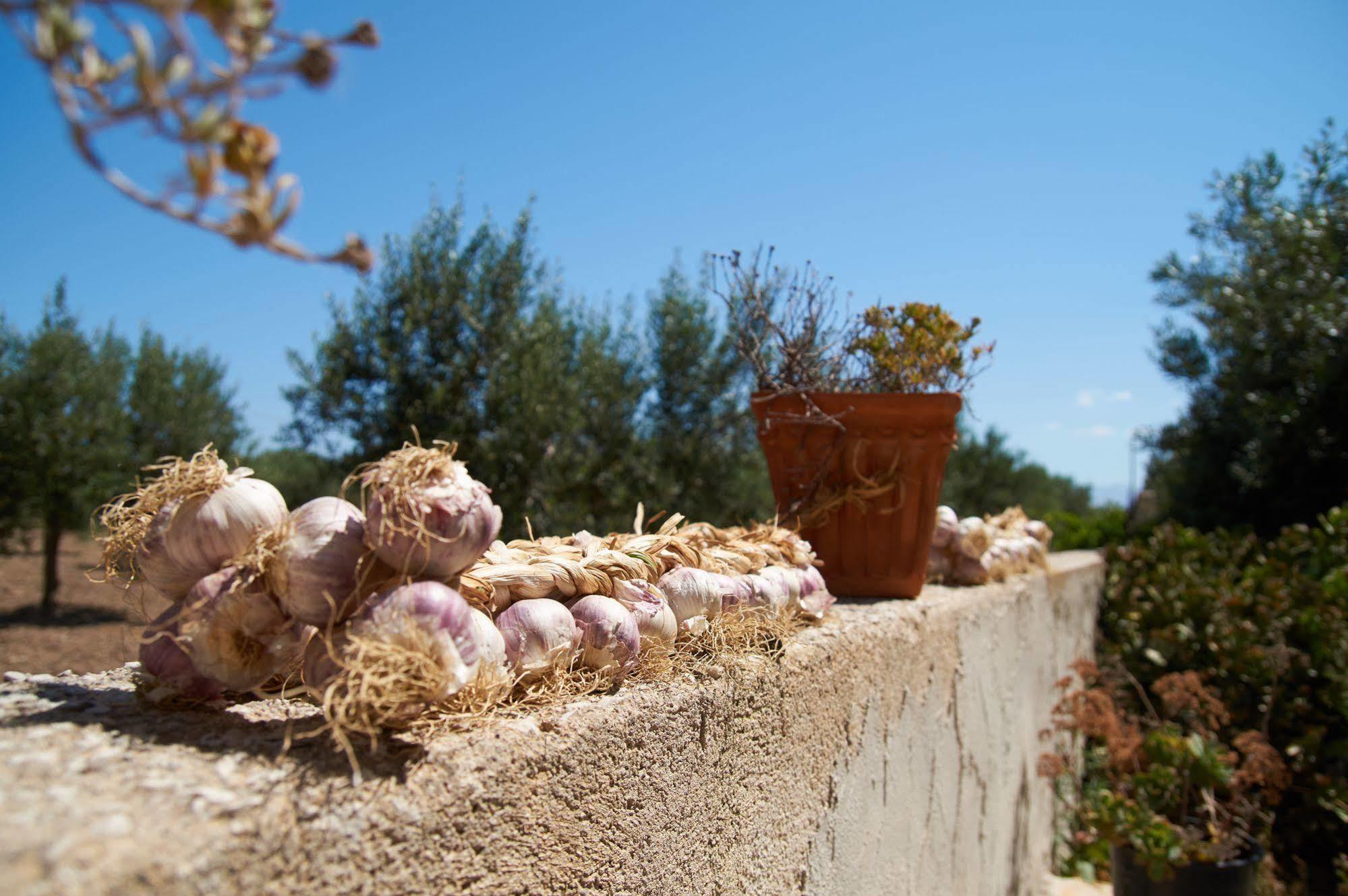 Casolare Nelle Saline Bed & Breakfast Torre Nubia Bagian luar foto